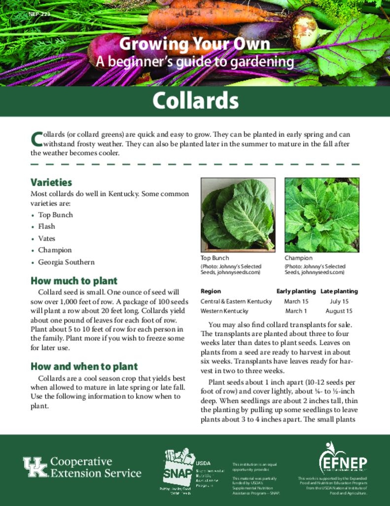 Growing Your Own Vegetables Collards Extension Publications